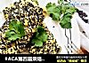 #ACA第四届烘焙大赛#造色情怀 黑芝麻芹菜叶烤饼的做法