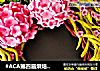 #ACA第四届烘焙大赛#造色情怀 绣球花环饼干的做法