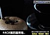 造色情怀咖啡贝果的做法