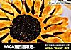 #ACA第四届烘焙大赛#造色情怀 紫薯扭扭面包的做法