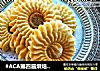 #ACA第四届烘焙大赛#造色情怀 玻璃糖曲奇的做法