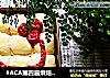 #ACA第四届烘焙大赛#造色情怀 南瓜椰蓉面包（无油版）的做法
