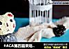 #ACA第四届烘焙大赛#造色情怀 心怀梦想的熊爸爸的做法