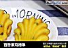 百香果玛德琳的做法