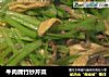 牛肉腐竹炒芹菜的做法