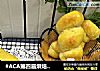 #ACA第四届烘焙大赛#造色情怀 胡萝卜豆浆面包的做法