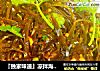 『独家味道』凉拌海带丝的做法