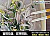 面很劲道，豆芽很脆，韭菜很香，汤很鲜，汤很鲜，汤很鲜……的做法