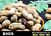 盐水花生的做法