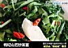 枸杞山药炒菜苗的做法