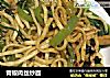 青椒肉丝炒面的做法