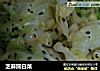 芝麻圆白菜的做法