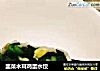 韭菜木耳鸡蛋水饺的做法