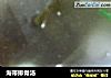 海带排骨汤的做法
