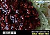 美味炸酱面的做法