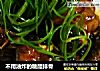 不用油炸的糖醋排骨的做法