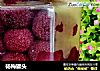 杨梅罐头的做法