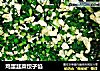 鸡蛋韭菜饺子馅的做法