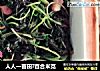 人人一亩田?百合米苋的做法