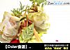 【Oster食谱】夏日越南明虾沙拉卷的做法