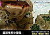 韭菜生煎小笼包的做法
