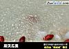 扇贝瓜羹的做法