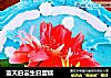 蓝天白云生日蛋糕的做法