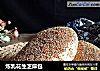 炼乳花生芝麻包的做法