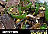 腊舌头炒青椒的做法