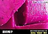 酸奶格子的做法