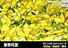 葱香鸡蛋的做法