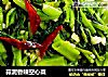 蒜泥香辣空心菜的做法