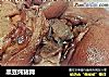 黑豆炖猪蹄的做法