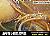 虫草花小鲍鱼煲鸡腿的做法