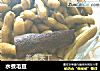 水煮毛豆的做法