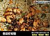 香蒜虾焖饭的做法