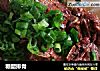 糖醋排骨的做法