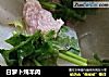 白萝卜炖羊肉的做法