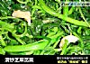 清炒芝麻苋菜的做法