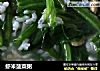 虾米菠菜粥的做法
