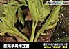 酸菜羊肉绿豆面的做法