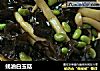 蚝油白玉菇的做法
