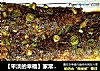 【平淡的幸福】家常炖鲅鱼的做法