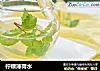 柠檬薄荷水的做法