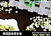 绿豆百合薏米汤的做法