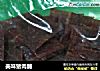 美味猪肉脯的做法