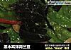黑木耳拌荷兰豆的做法