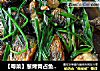 【粤菜】葱烤青占鱼 （老婆必做的一道菜）的做法
