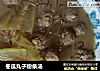 冬瓜丸子粉条汤的做法