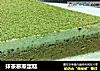 抹茶慕斯蛋糕的做法